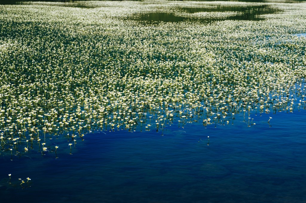 Quattro passi sul&nbsp;crinale
