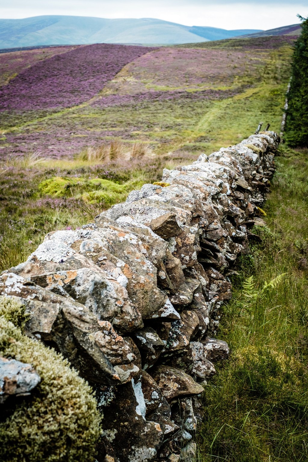 In viaggio verso le Highlands – Parte&nbsp;1