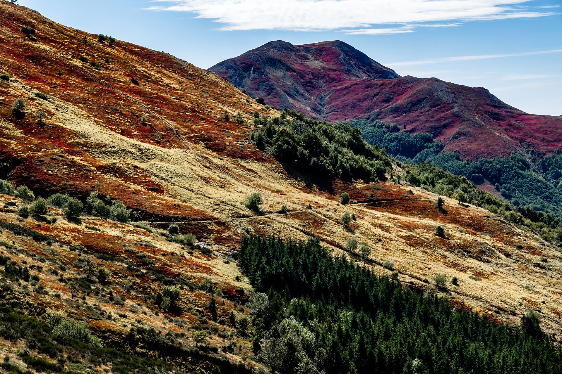 DSCF3815-IridientEdit