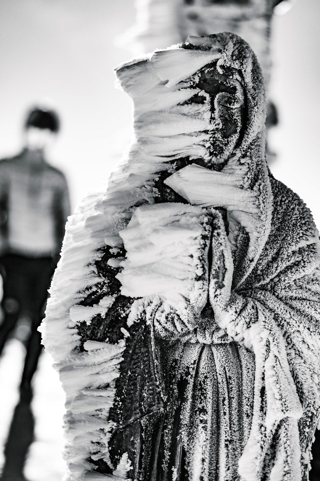 Su e giù dal&nbsp;Cusna