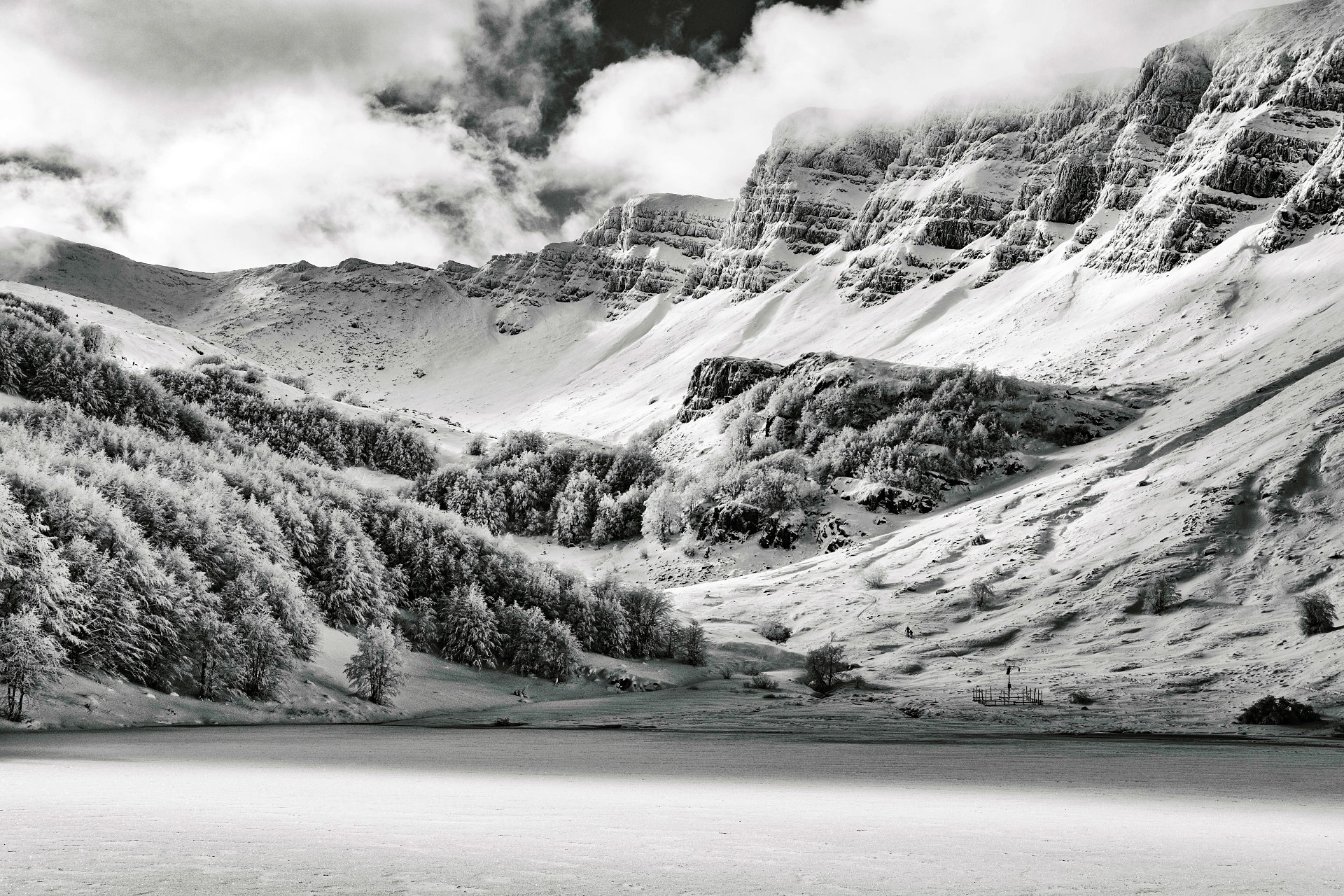 batch_DSCF9129-IridientEdit