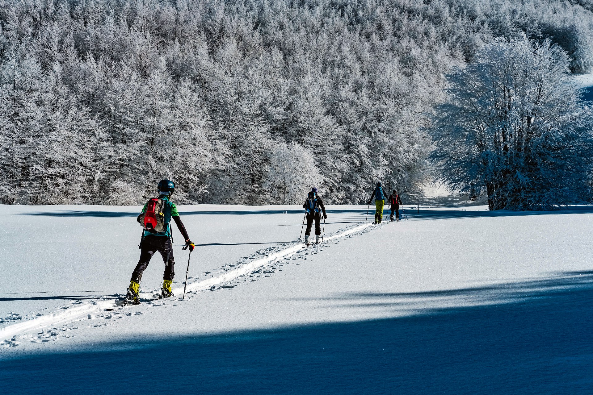 batch_DSCF9223-IridientEdit