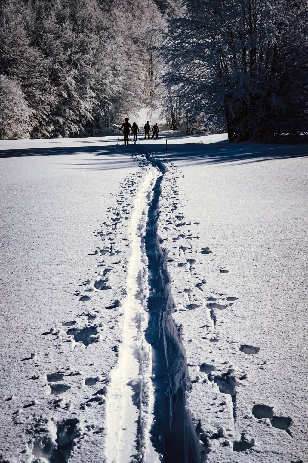 Altro giro altro&nbsp;regalo