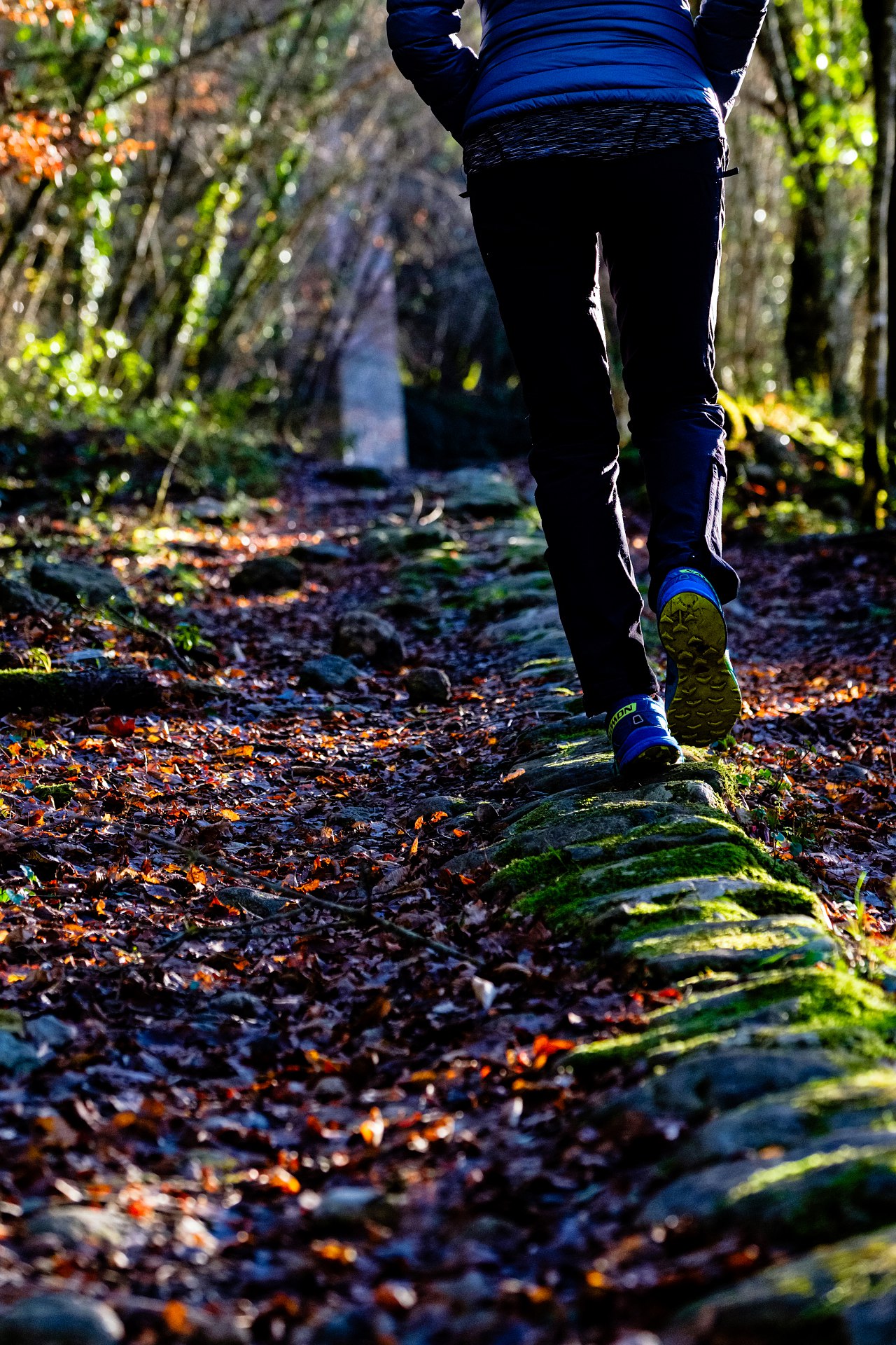 batch_Ponte della Pia 02