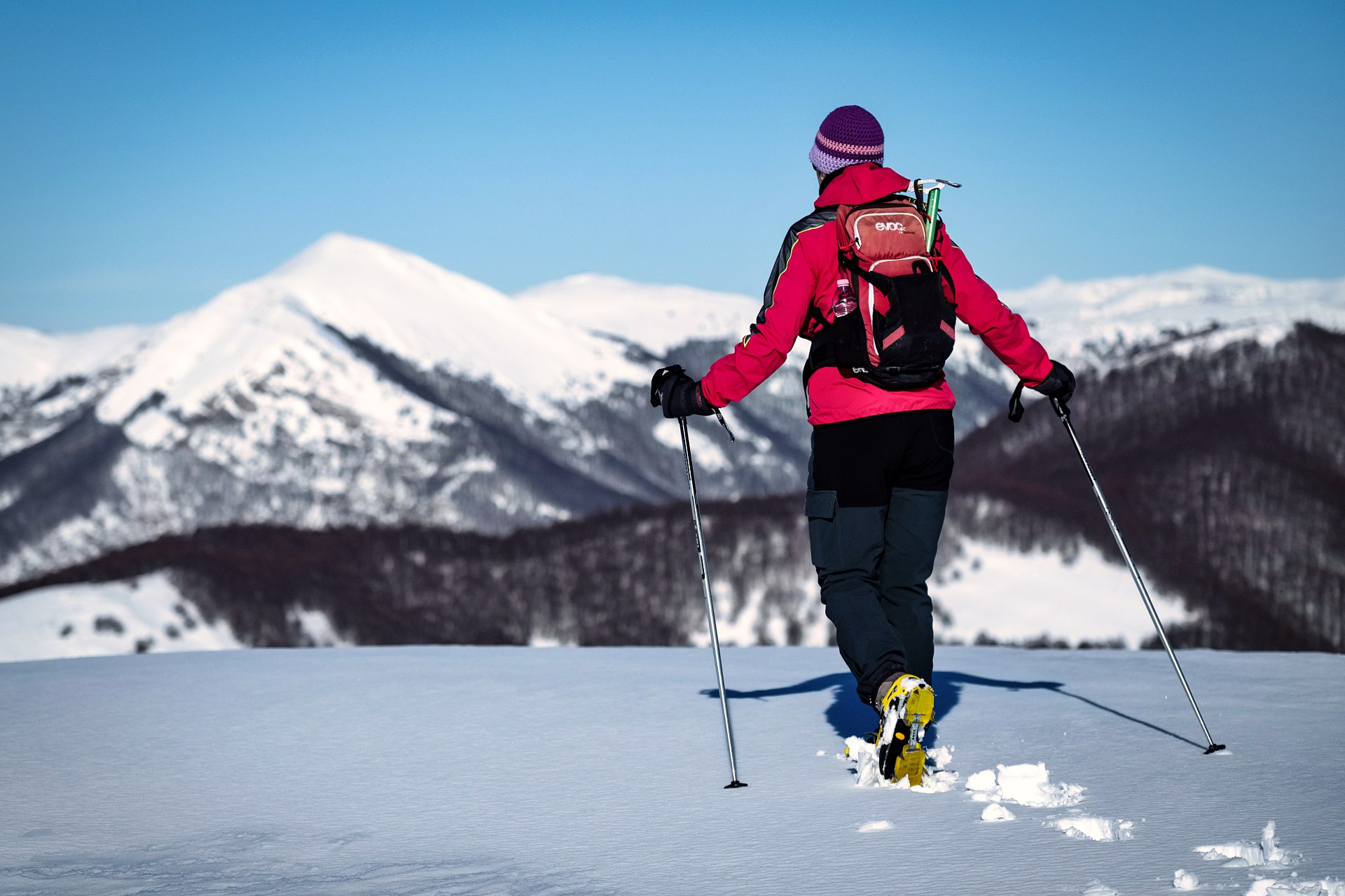 batch_DSCF0393-Campo Catino