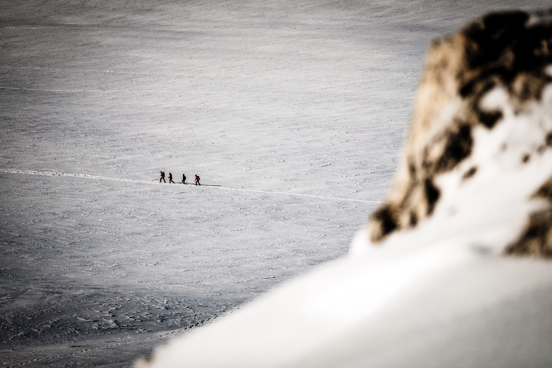 batch_DSCF0398-Campo Catino