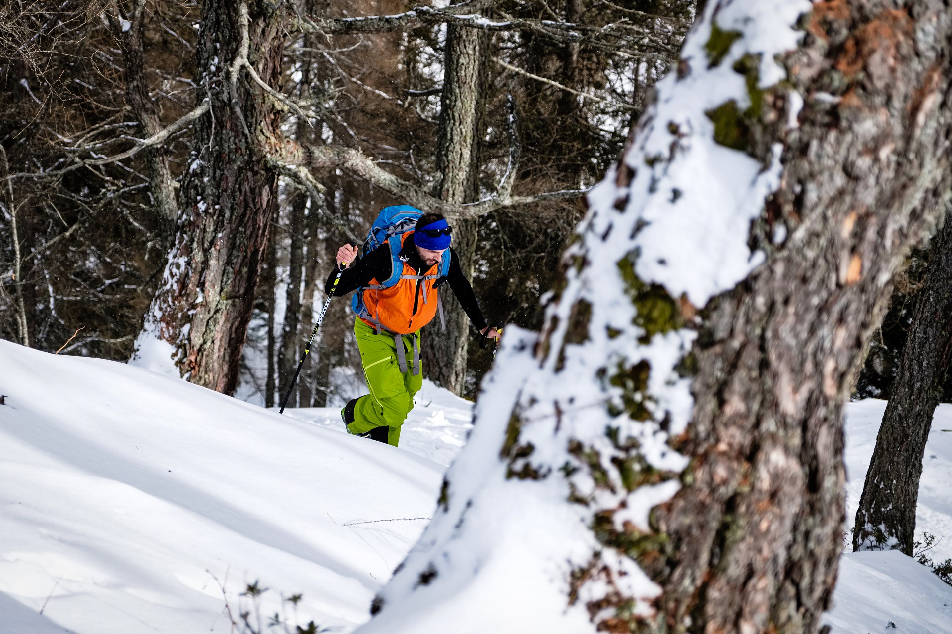 batch_DSCF0637-IridientEdit