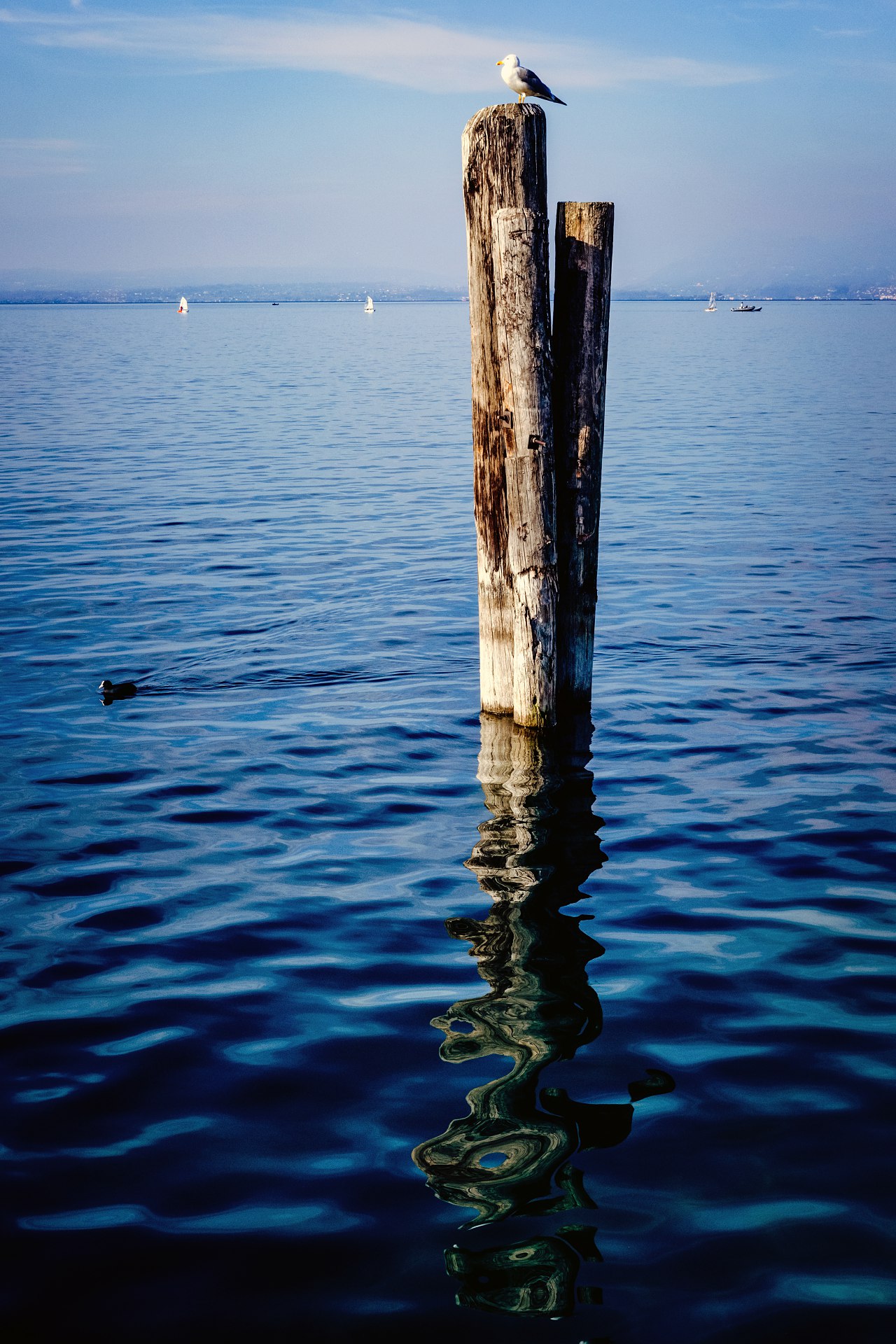 batch_DSCF7384-IridientEdit