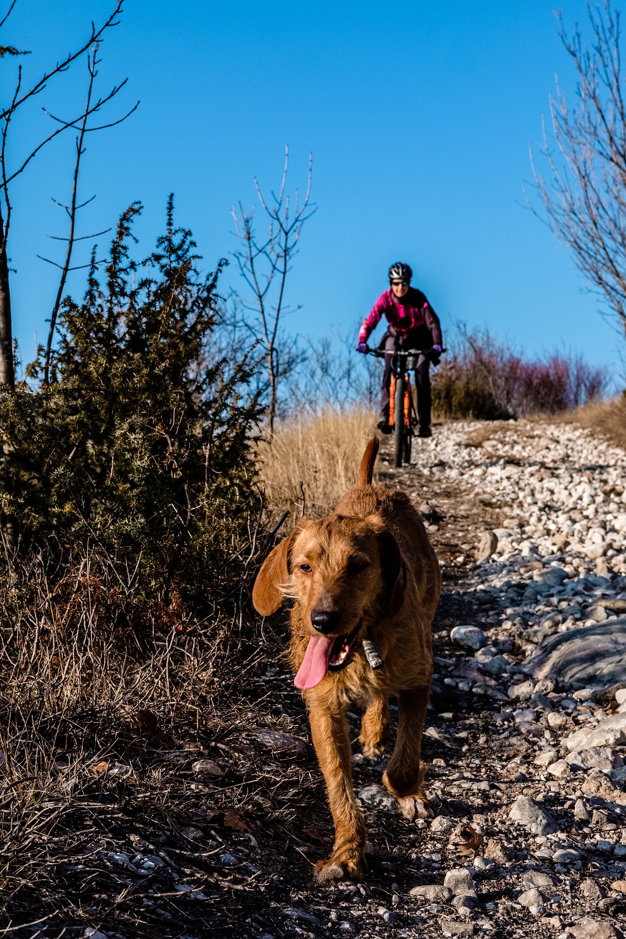 batch_DSCF7397-IridientEdit