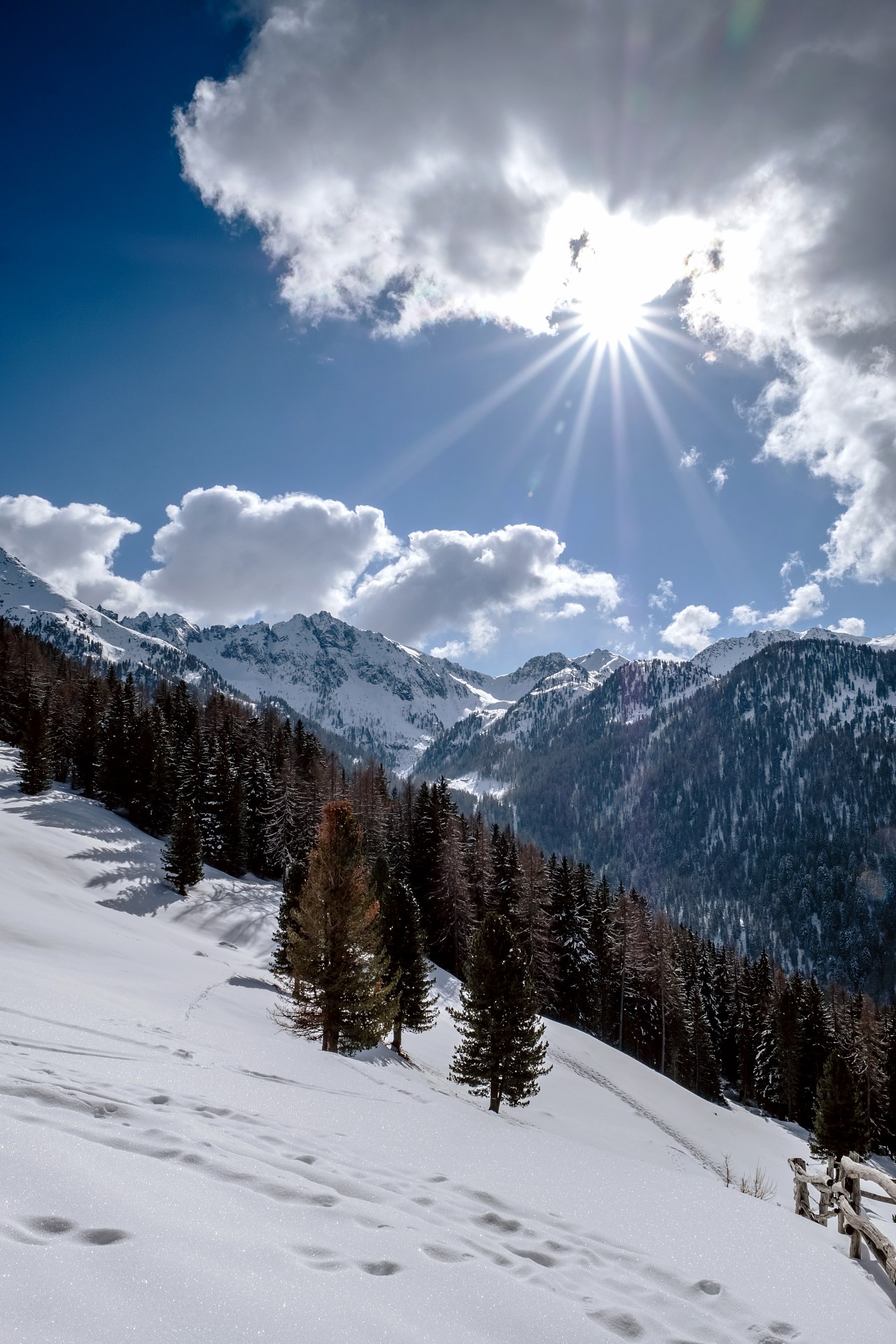 batch_DSCF7783-IridientEdit