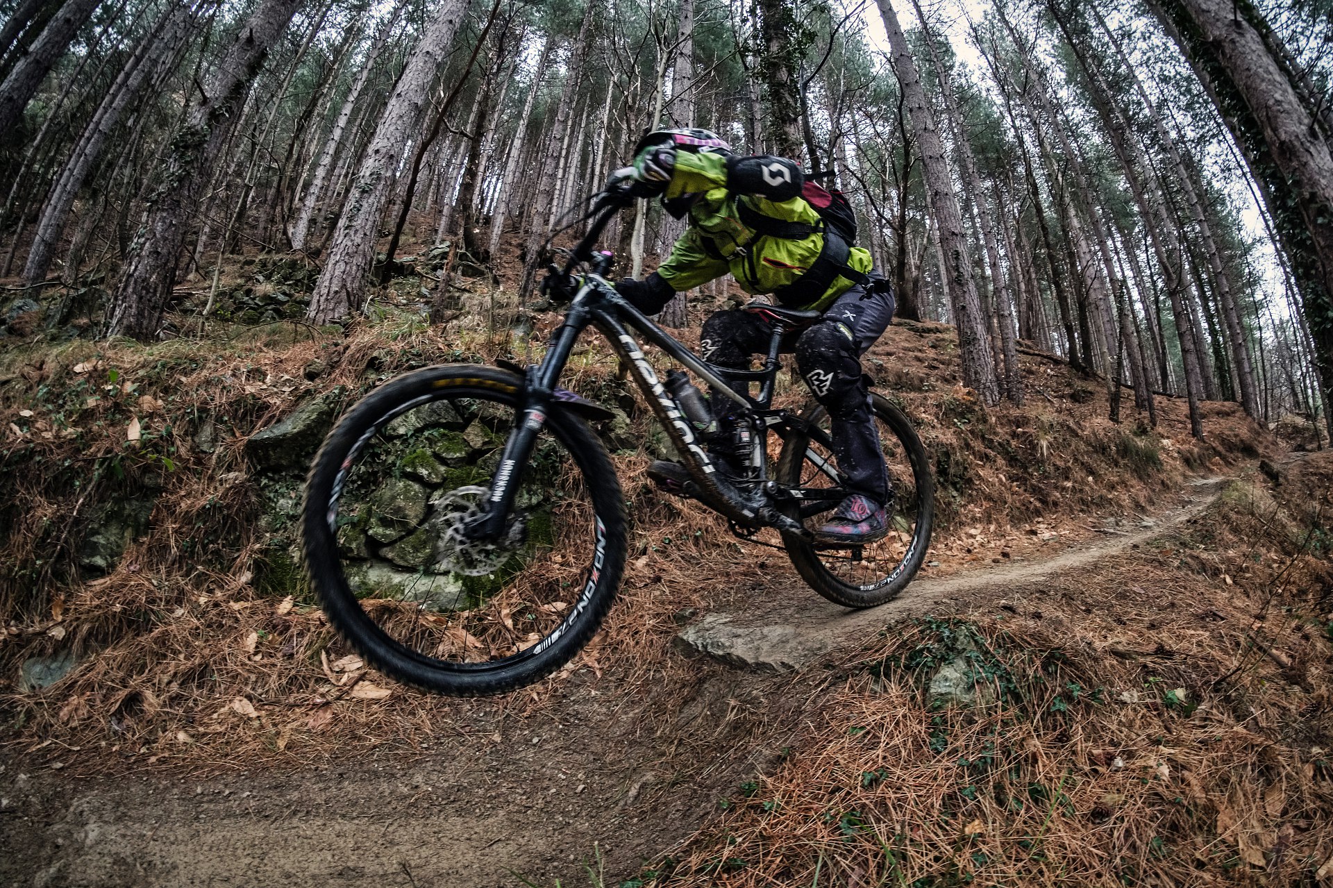 batch_DSCF8116-IridientEdit-2