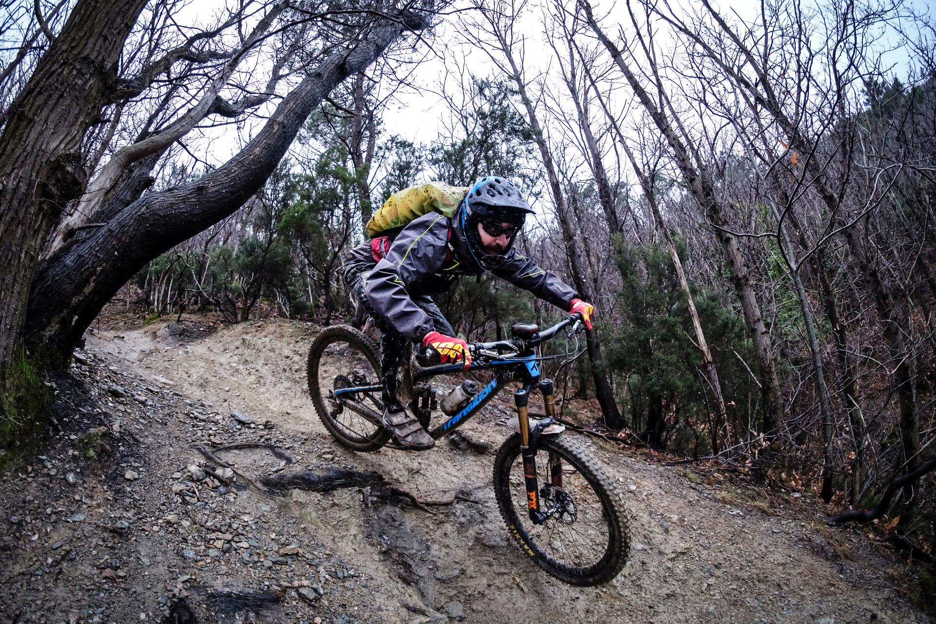 batch_DSCF8143-IridientEdit