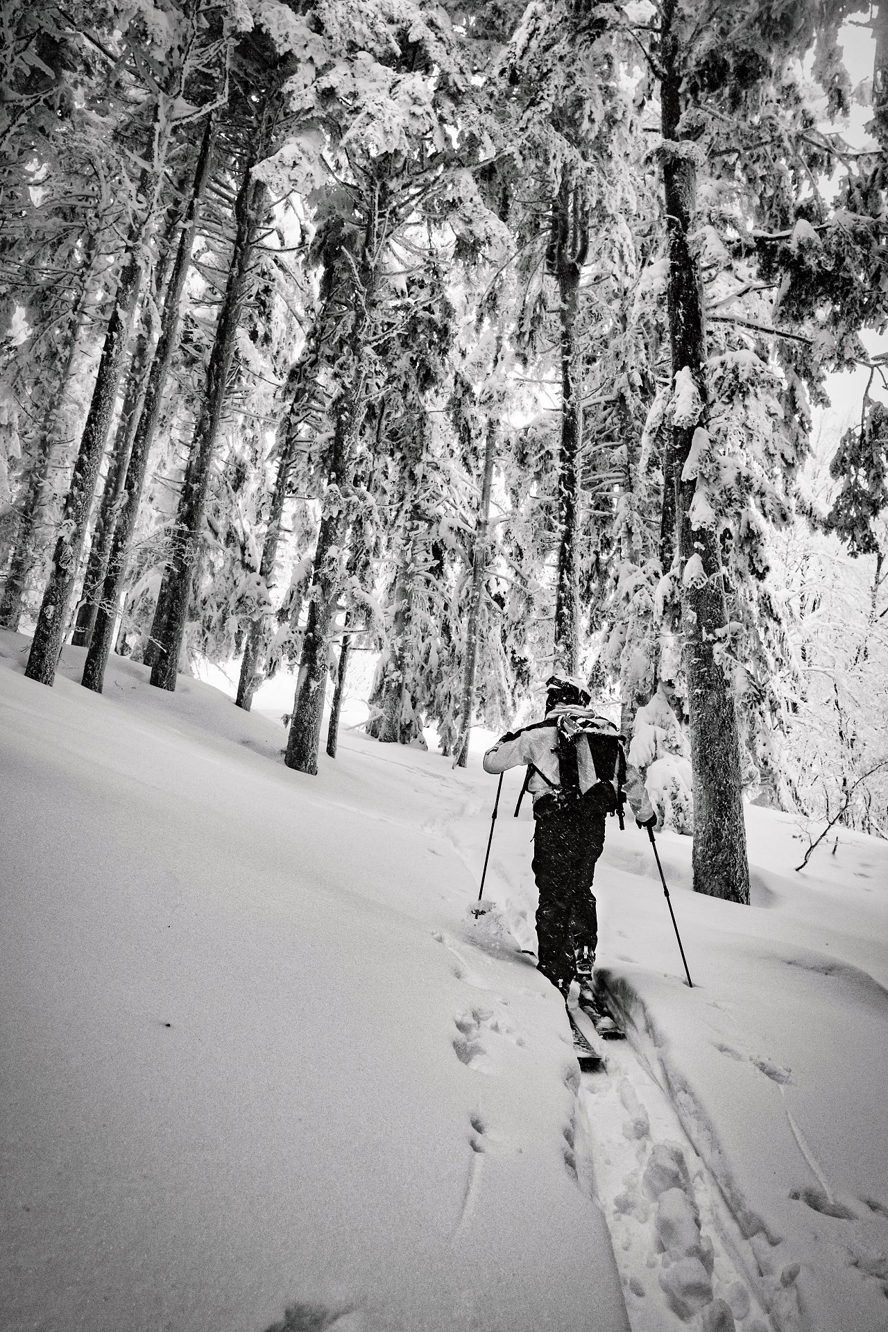 batch_DSCF8545-IridientEdit-2