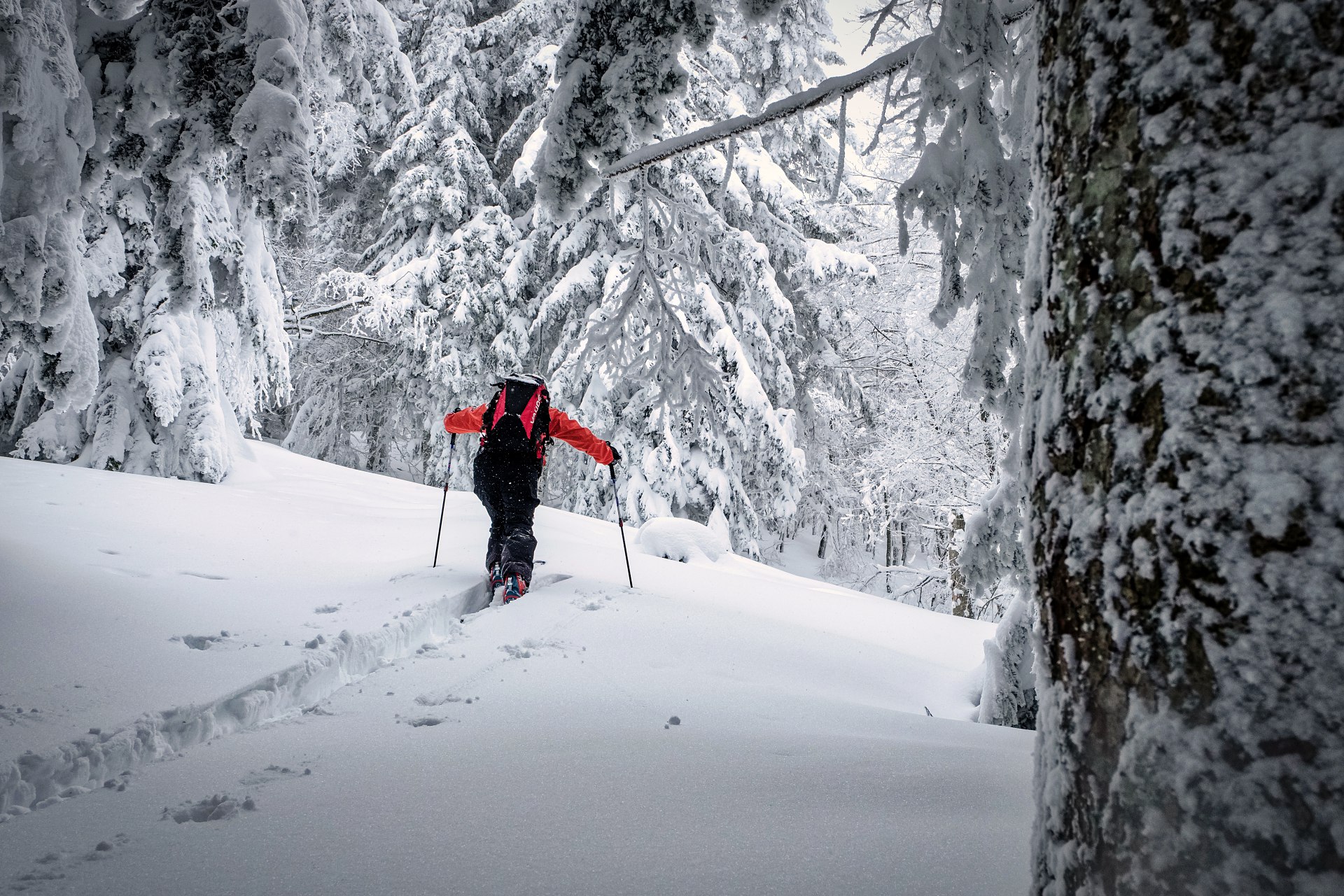 batch_DSCF8551-IridientEdit