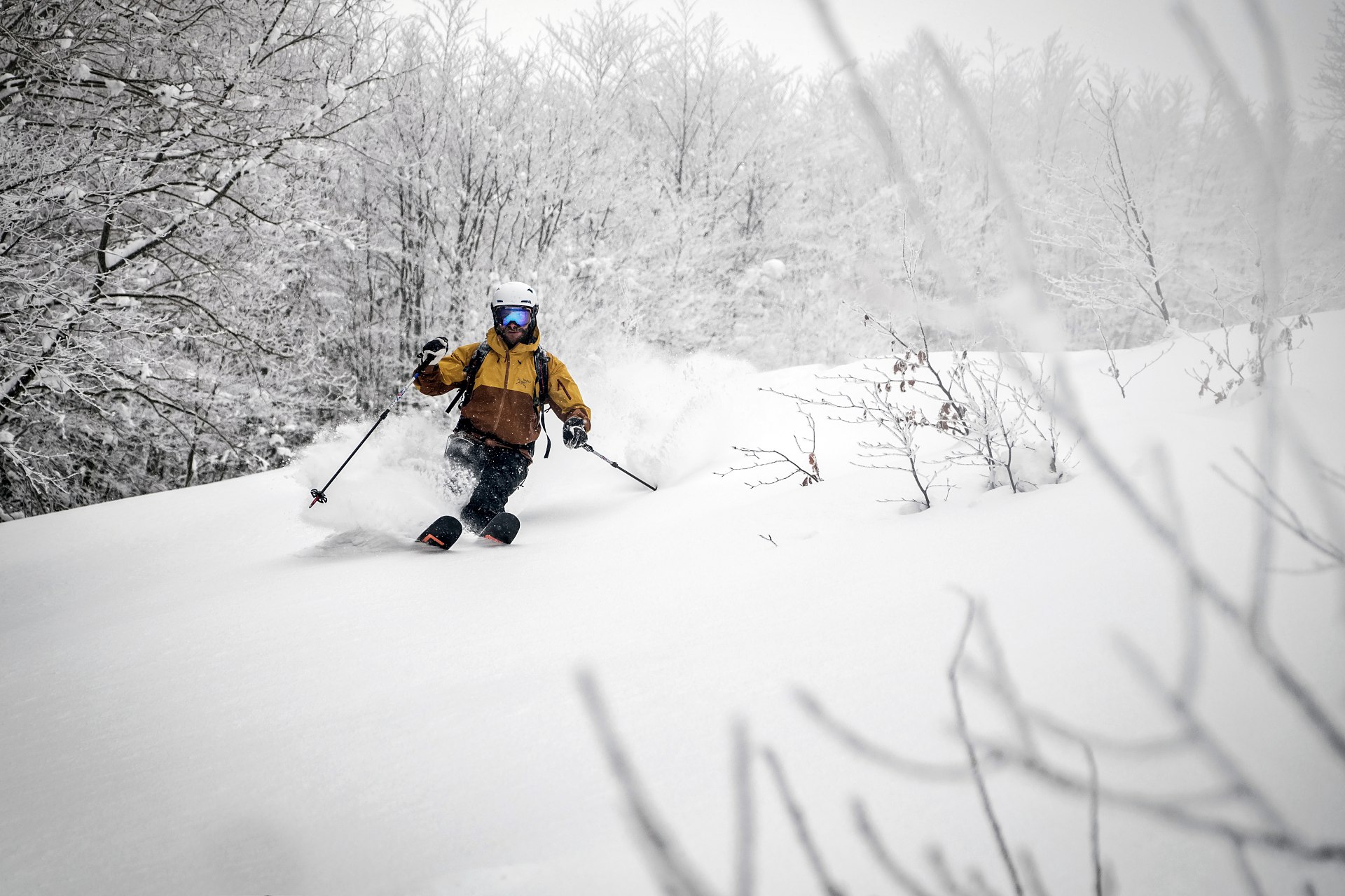 batch_DSCF8588-IridientEdit