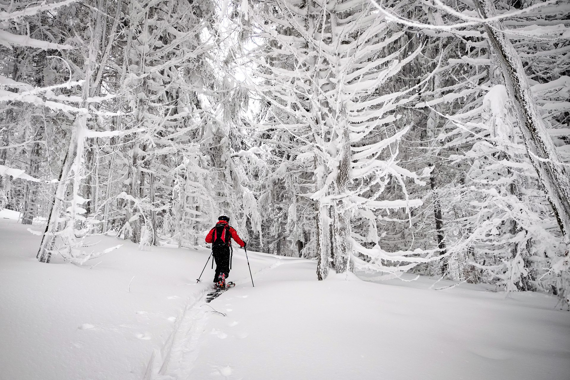 batch_DSCF8629-IridientEdit