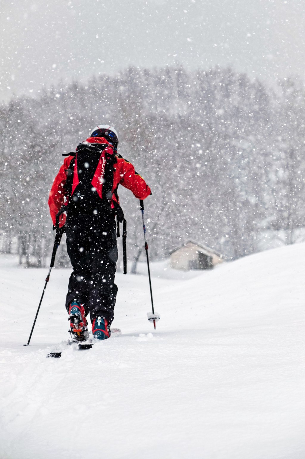 Non tutto il buran viene per nuocere