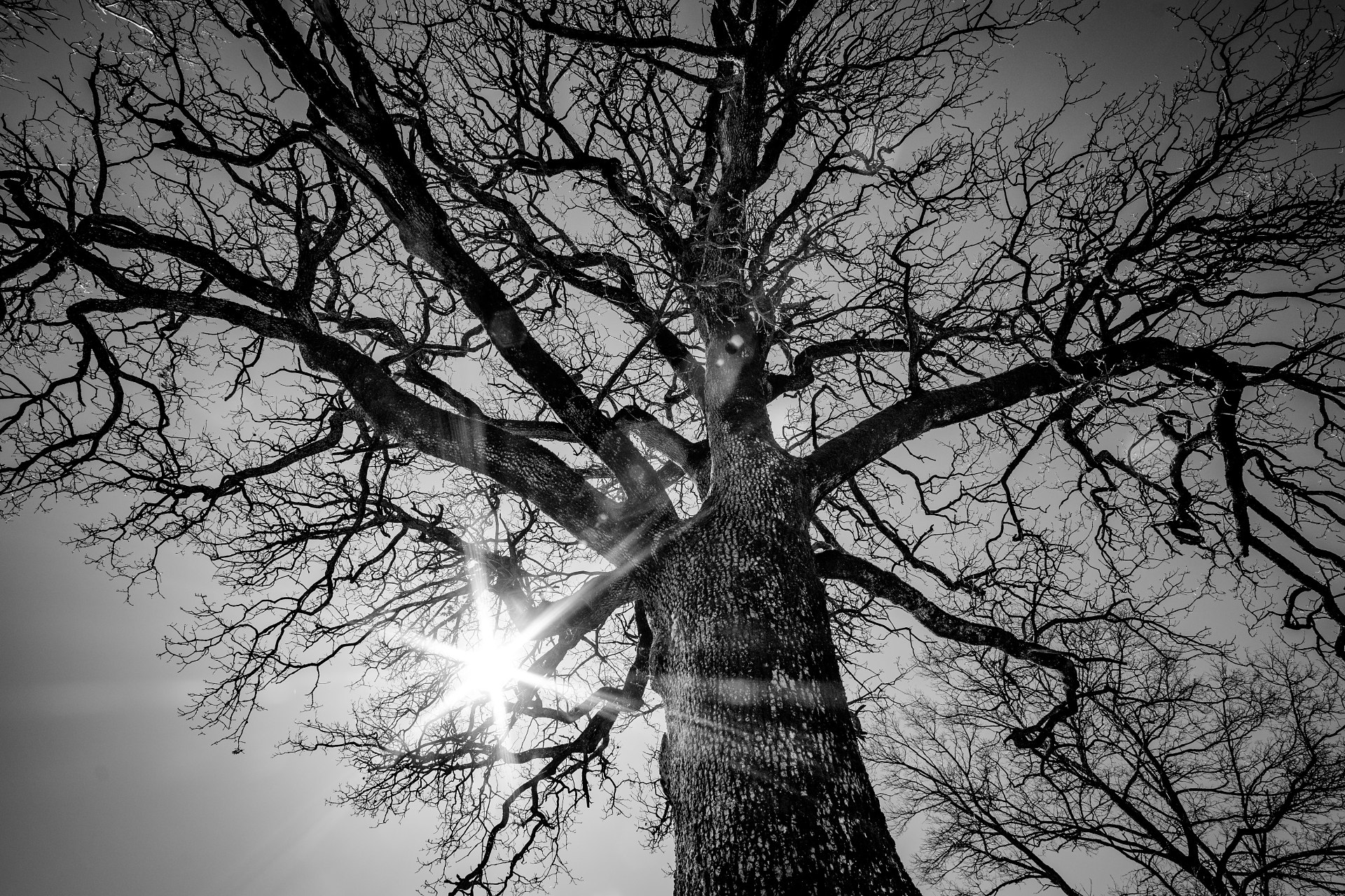 DSCF9228-IridientEdit-2