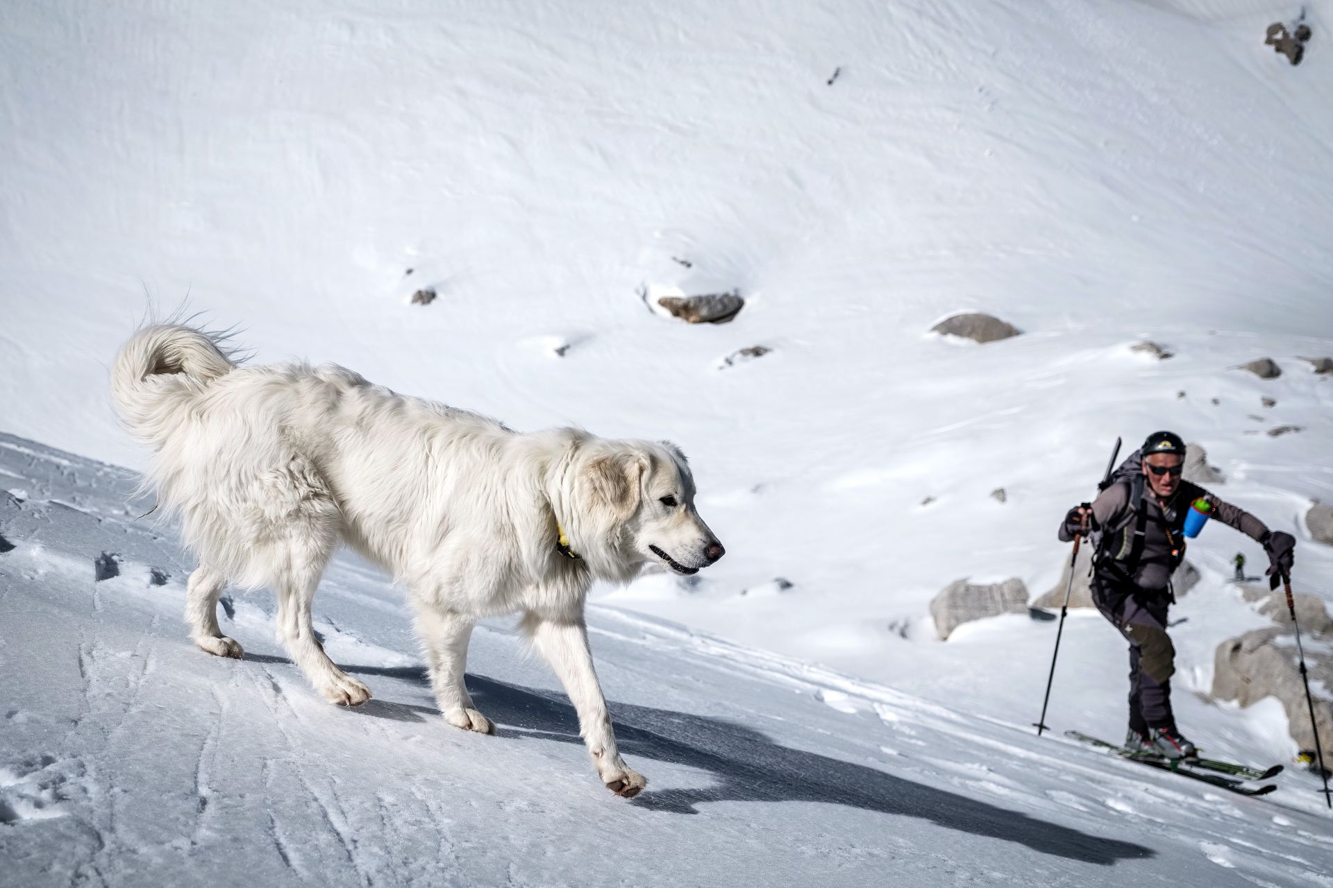 DSCF9237-IridientEdit