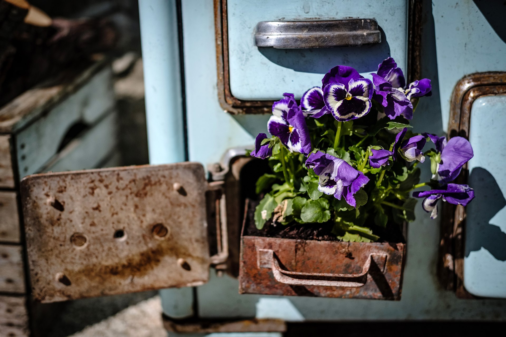 DSCF9238-IridientEdit