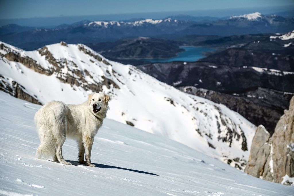 Corno Grande – Canale&nbsp;Bissolati