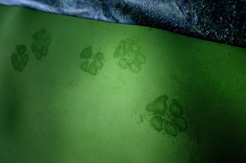 Ritiro Yoga al Rifugio Burigone