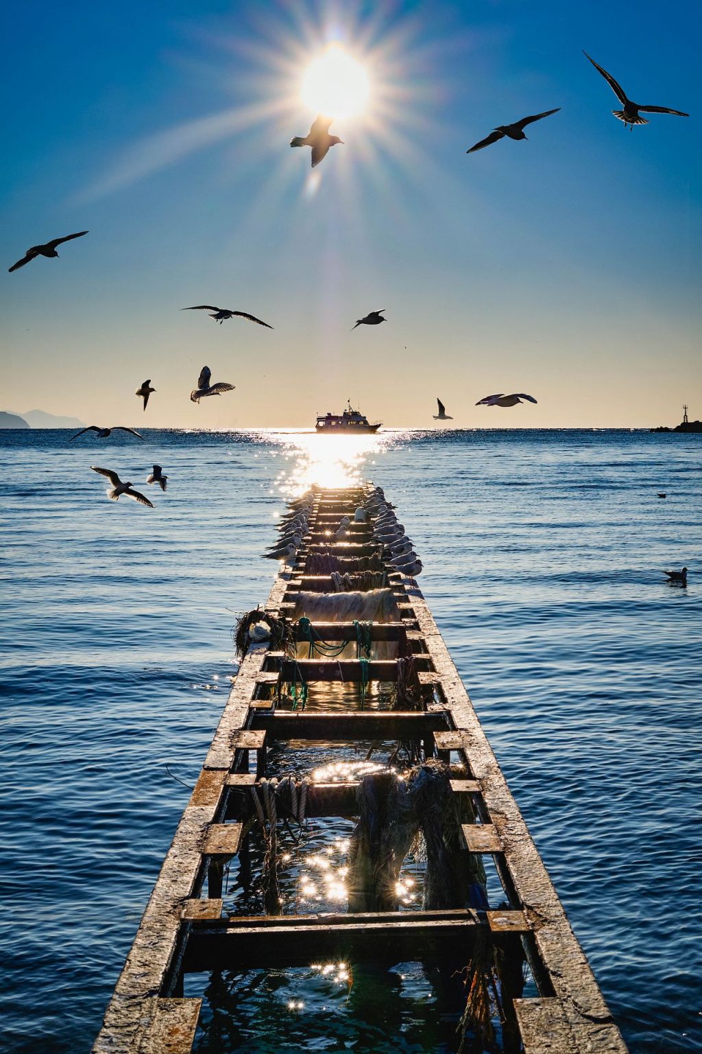 We da scappati in&nbsp;Liguria