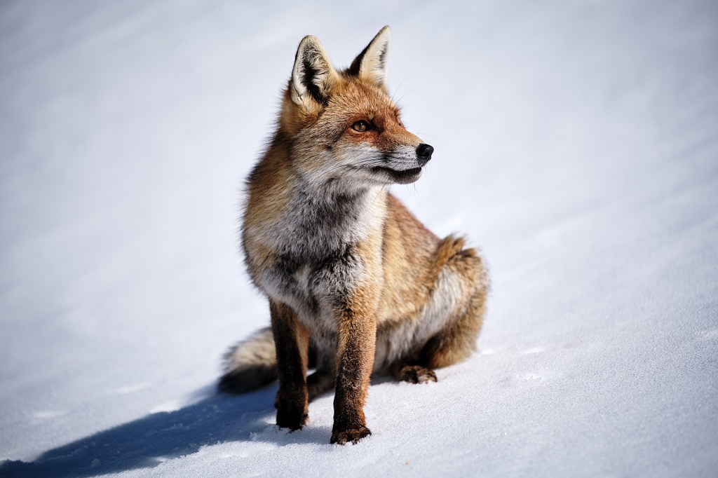 Gironzolando per canali