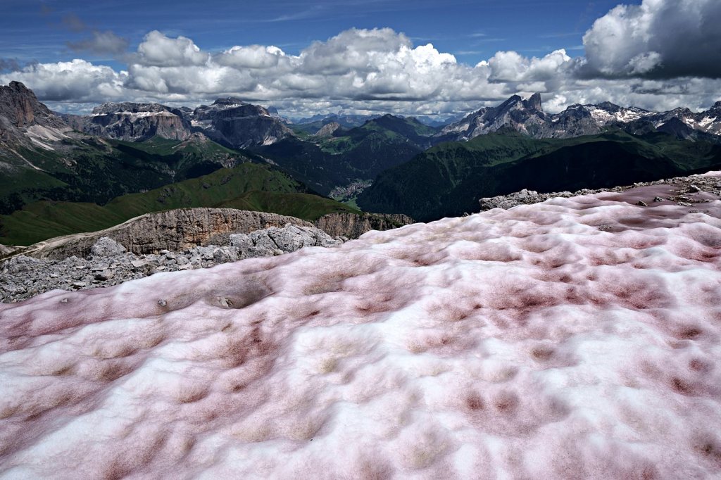 Un tuffo rinfrescante