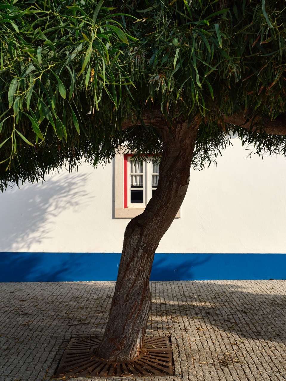 Portogallo – Fisherman’s Trail